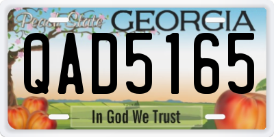 GA license plate QAD5165