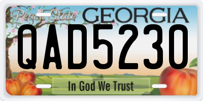 GA license plate QAD5230