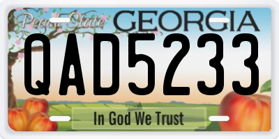 GA license plate QAD5233