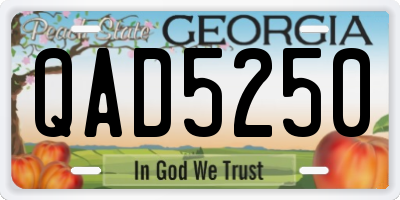 GA license plate QAD5250