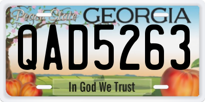 GA license plate QAD5263