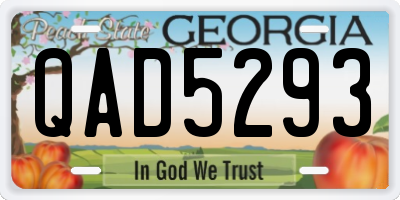 GA license plate QAD5293