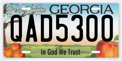 GA license plate QAD5300