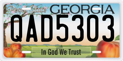 GA license plate QAD5303
