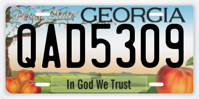 GA license plate QAD5309