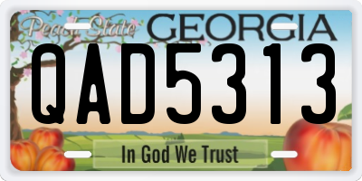 GA license plate QAD5313