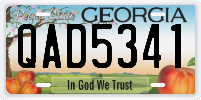 GA license plate QAD5341