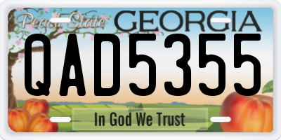GA license plate QAD5355