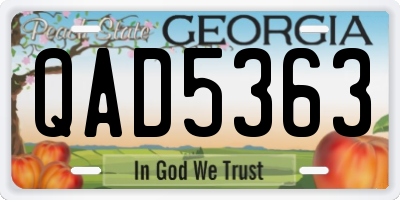 GA license plate QAD5363