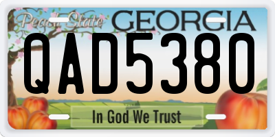 GA license plate QAD5380