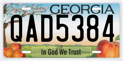GA license plate QAD5384