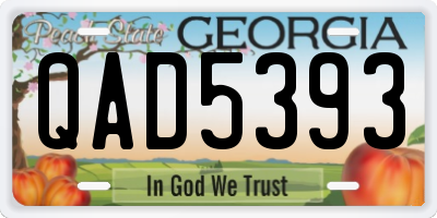 GA license plate QAD5393