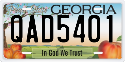GA license plate QAD5401