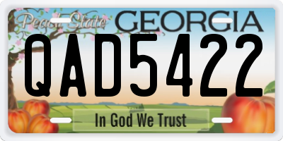 GA license plate QAD5422