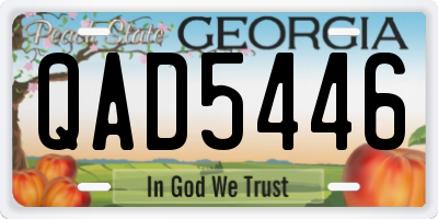 GA license plate QAD5446