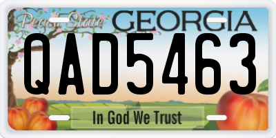 GA license plate QAD5463