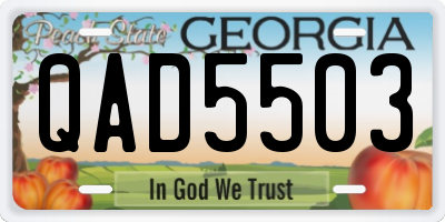 GA license plate QAD5503