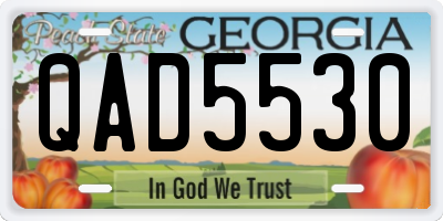 GA license plate QAD5530