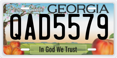 GA license plate QAD5579