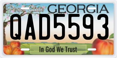 GA license plate QAD5593