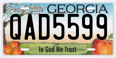 GA license plate QAD5599