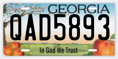 GA license plate QAD5893