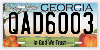 GA license plate QAD6003
