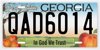 GA license plate QAD6014