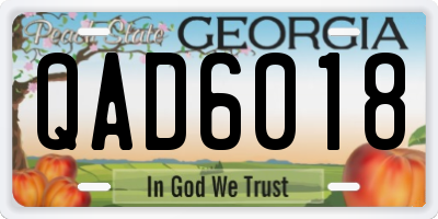 GA license plate QAD6018