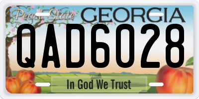 GA license plate QAD6028