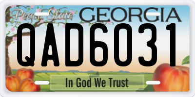 GA license plate QAD6031