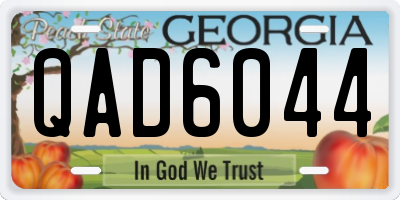 GA license plate QAD6044