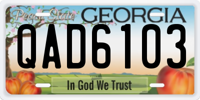 GA license plate QAD6103