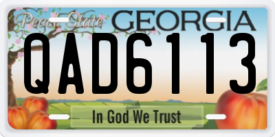 GA license plate QAD6113