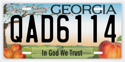 GA license plate QAD6114