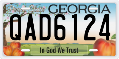 GA license plate QAD6124
