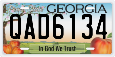 GA license plate QAD6134