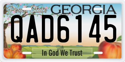GA license plate QAD6145