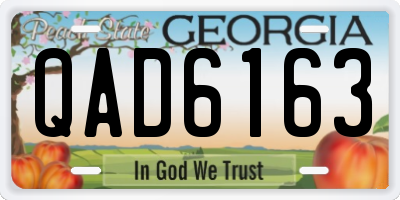 GA license plate QAD6163