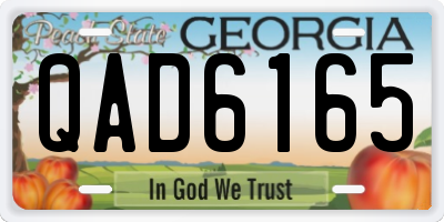GA license plate QAD6165
