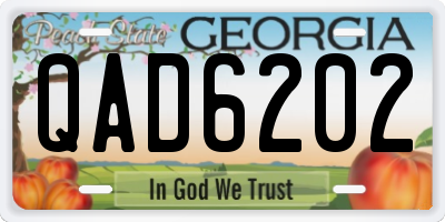 GA license plate QAD6202