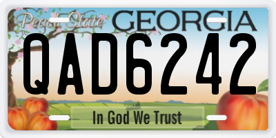 GA license plate QAD6242
