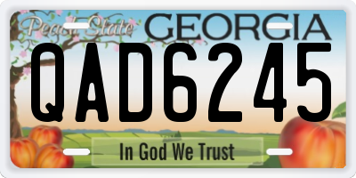 GA license plate QAD6245