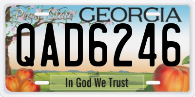 GA license plate QAD6246