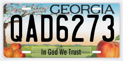GA license plate QAD6273