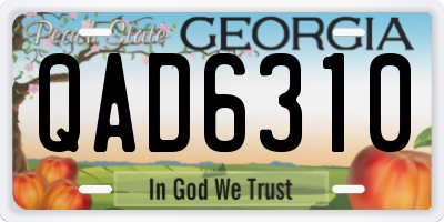 GA license plate QAD6310