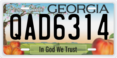 GA license plate QAD6314