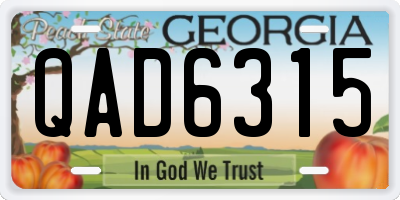 GA license plate QAD6315
