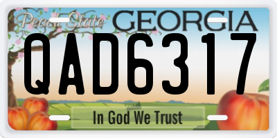 GA license plate QAD6317