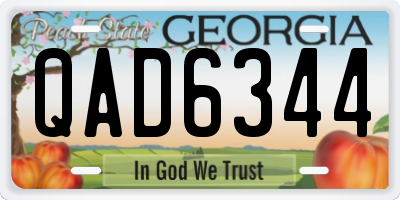 GA license plate QAD6344